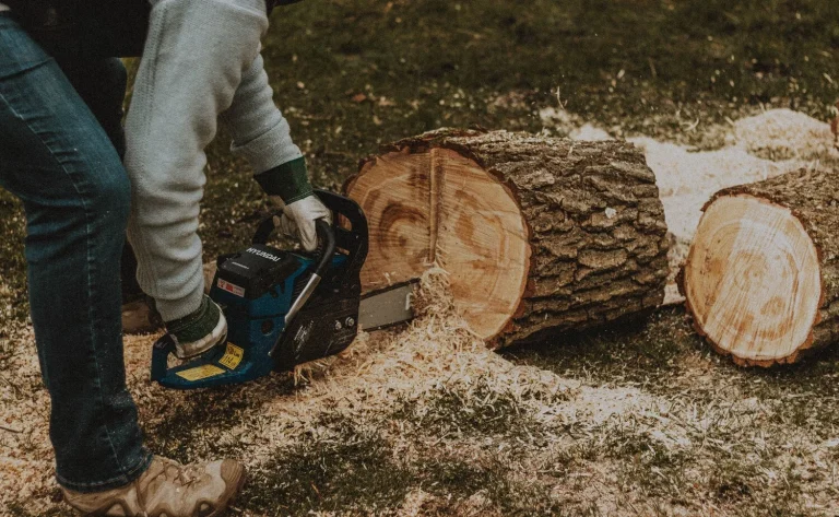 Best Corded Chainsaw