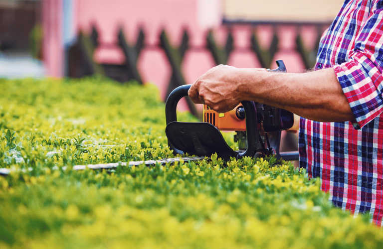 Best Corded Hedge Trimmer