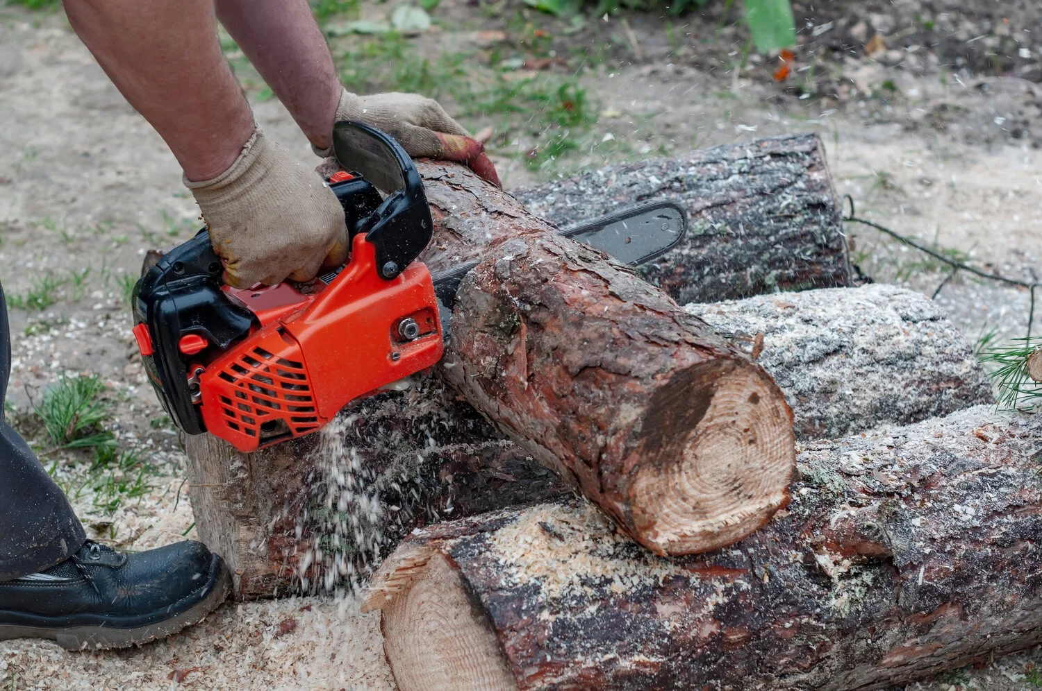 Best Mini Chainsaw