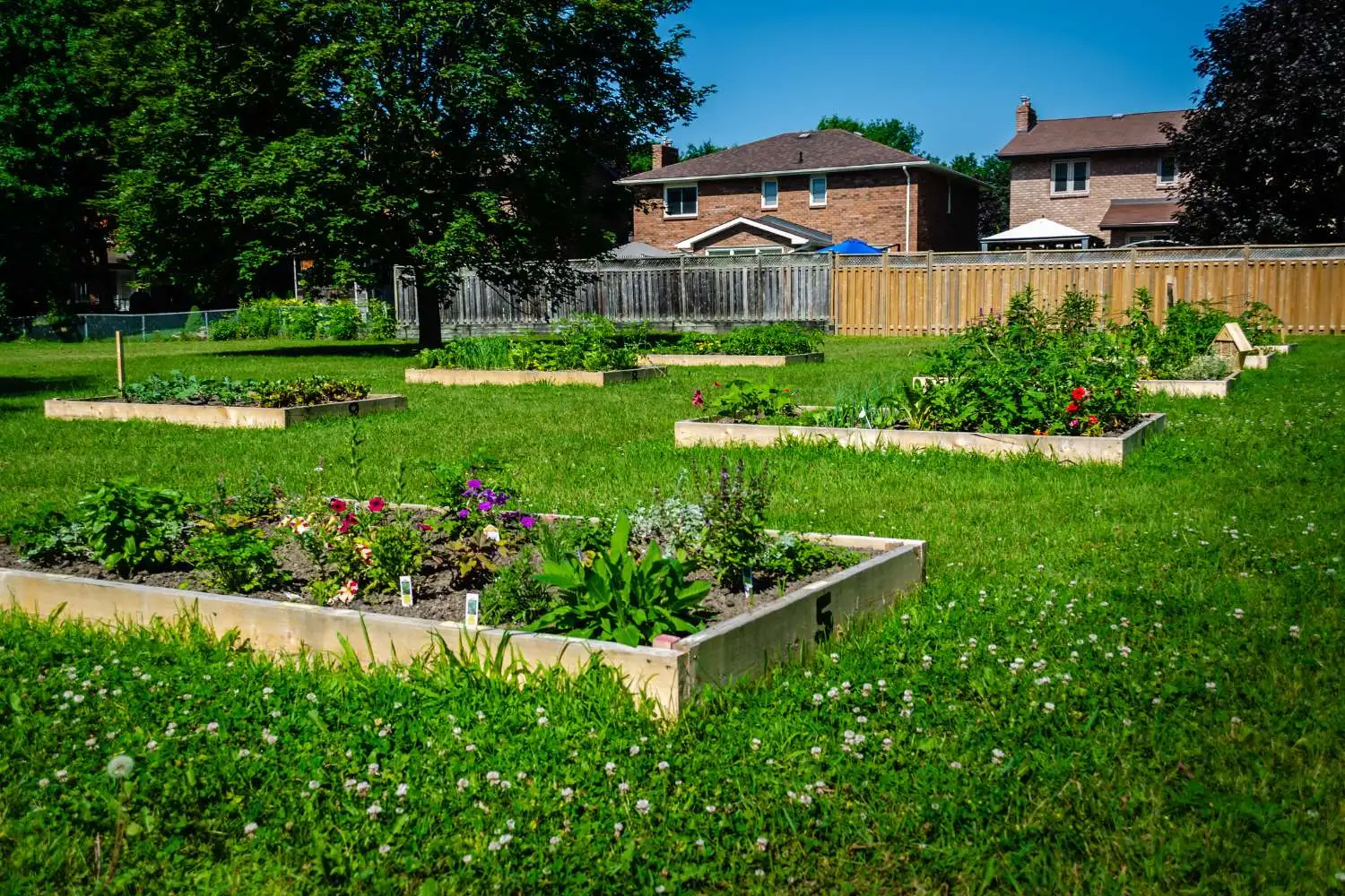 Cordless drills can be used to build raised beds like these.