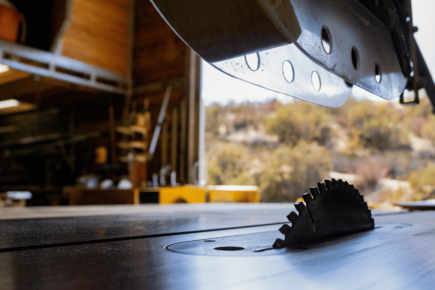 Track Saw vs Table Saw